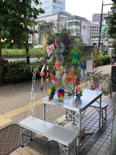 IMG_3168.jpeg
